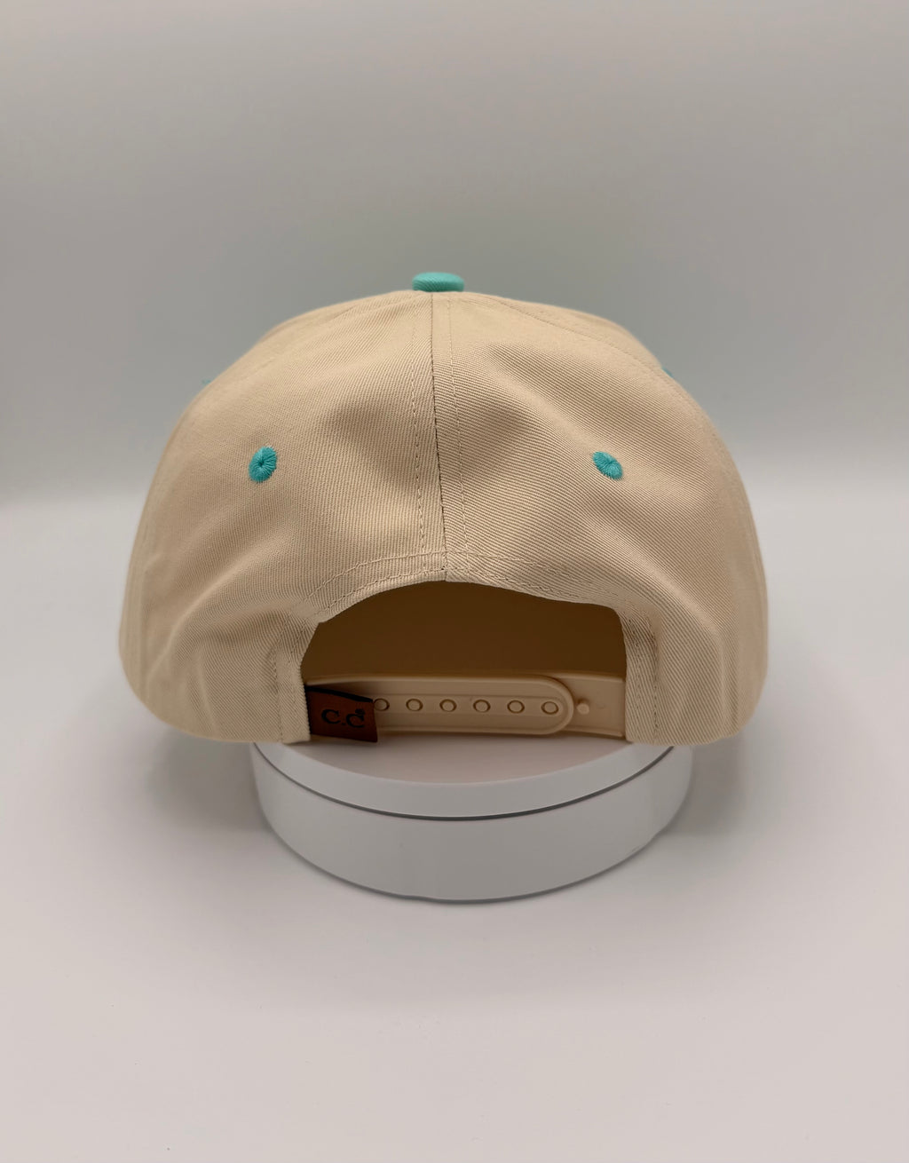 HAT | Ask Me About My Dog - Beige/Aqua/Pink