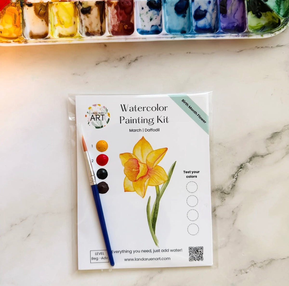 Daffodil Watercolor Kit | March Birth Month Flower