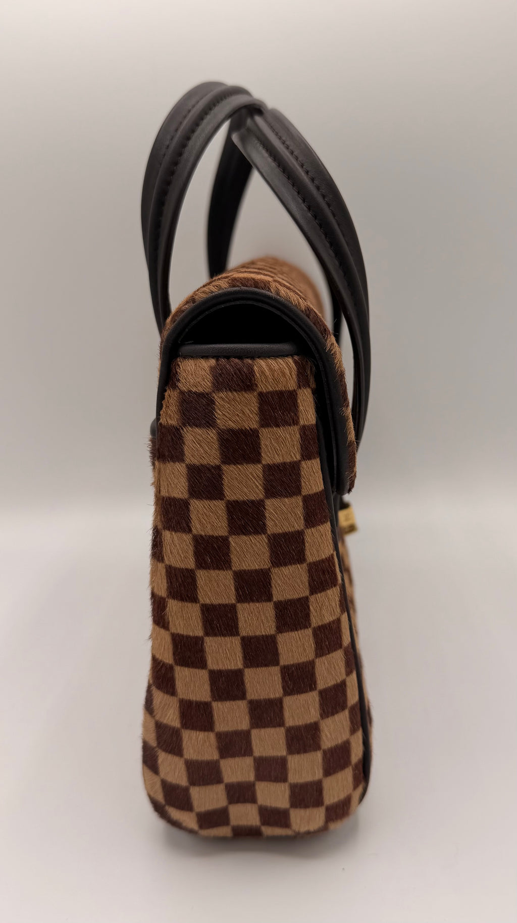 Louis Vuitton Damier Sauvage Lionne Calf Hair Handbag | 2003 Vintage