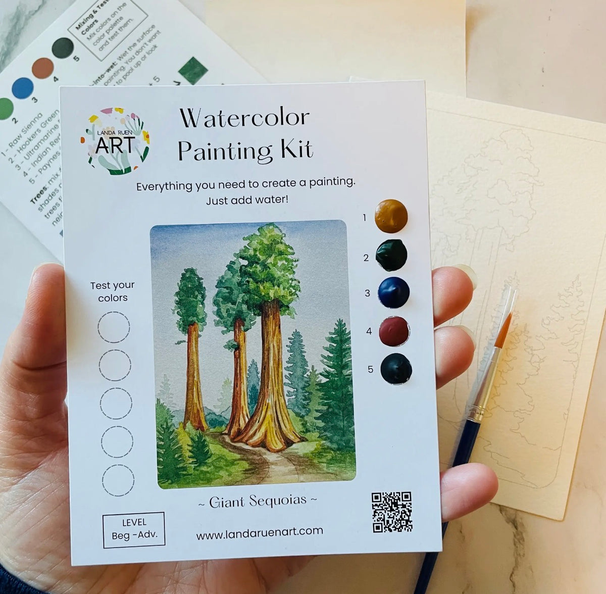 Giant Sequoias Watercolor Kit