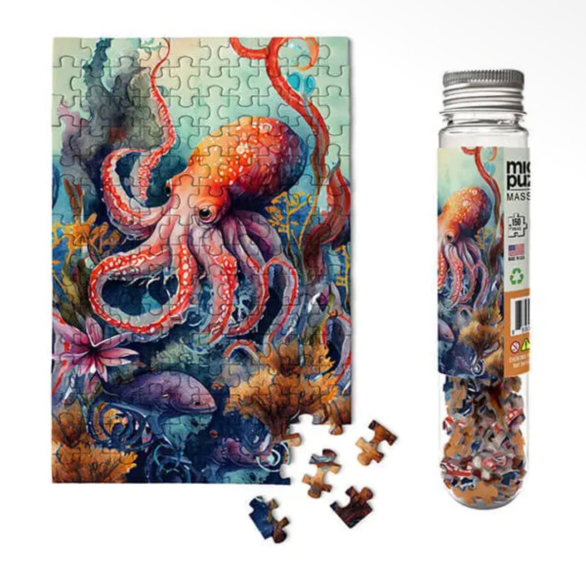 Octopus - Marine Life