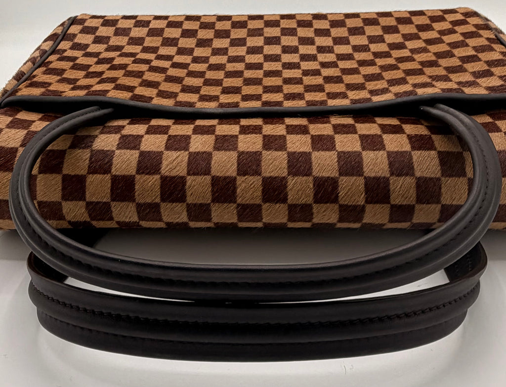 Louis Vuitton Damier Sauvage Lionne Calf Hair Handbag | 2003 Vintage