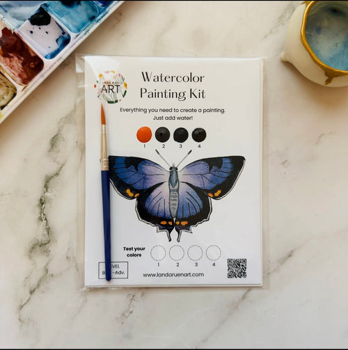Colorado Hairstreak Butterfly Watercolor Kit