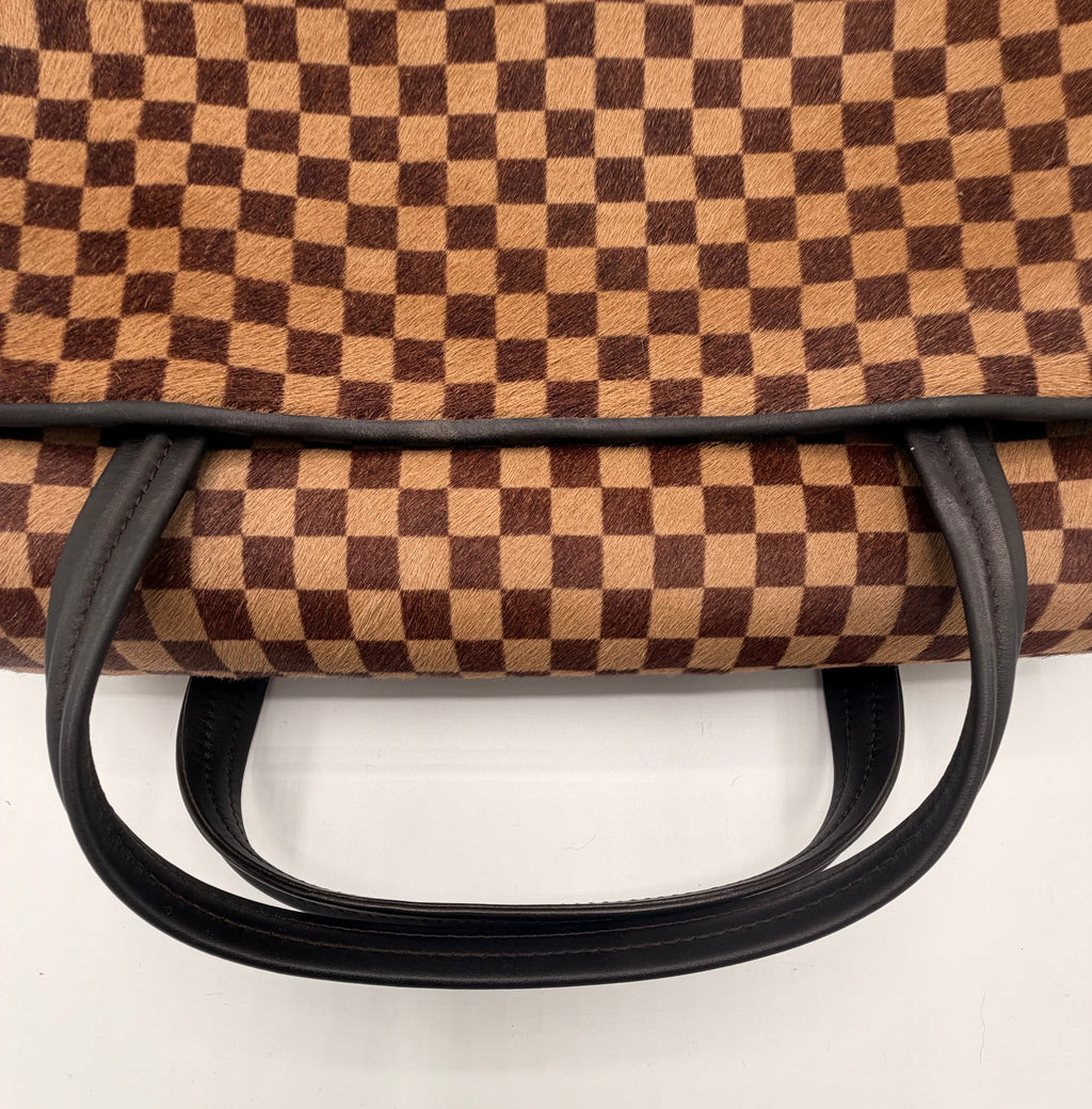 Louis Vuitton Damier Sauvage Lionne Calf Hair Handbag | 2003 Vintage
