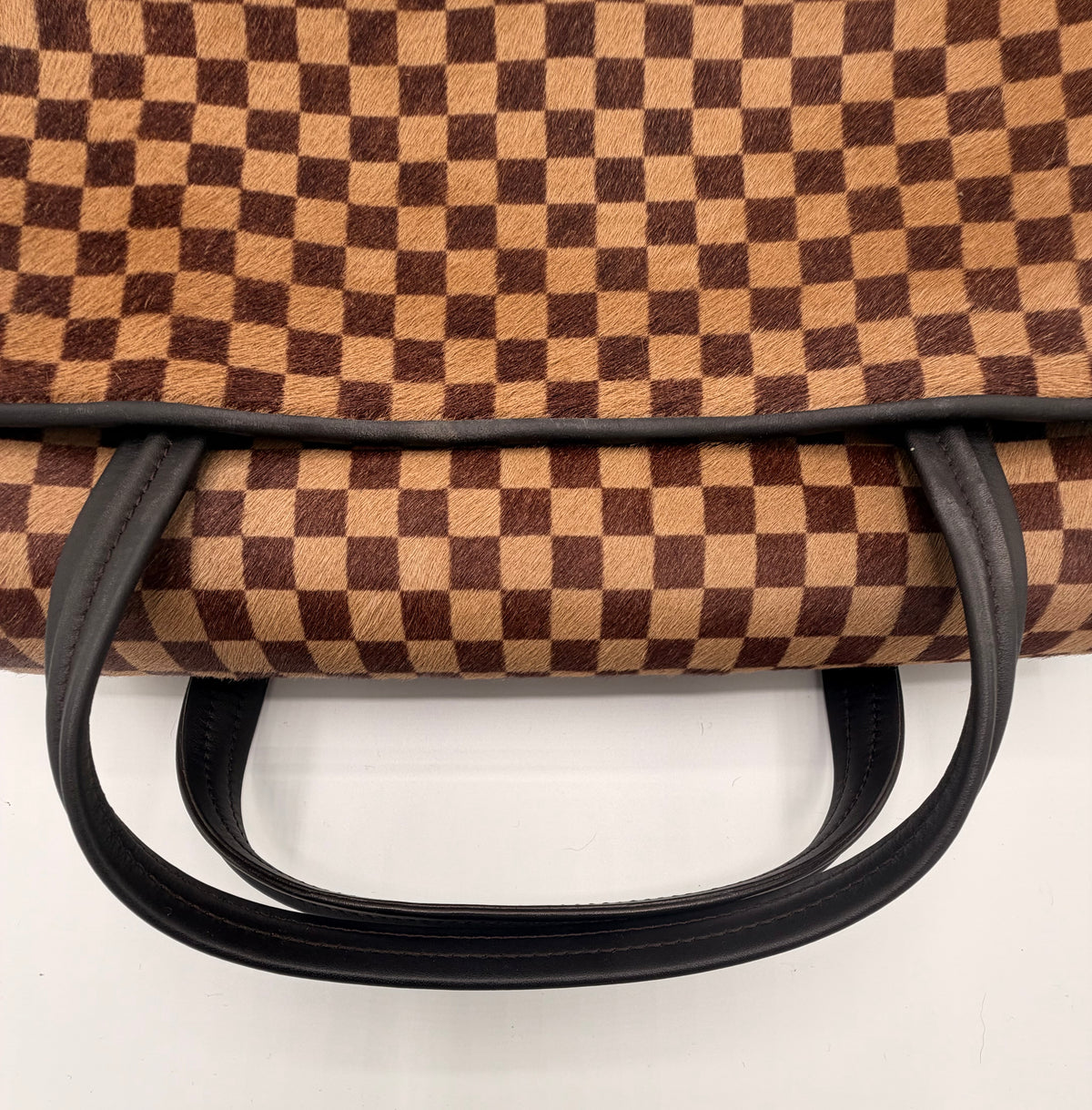 Louis Vuitton Damier Sauvage Lionne Calf Hair Handbag | 2003 Vintage